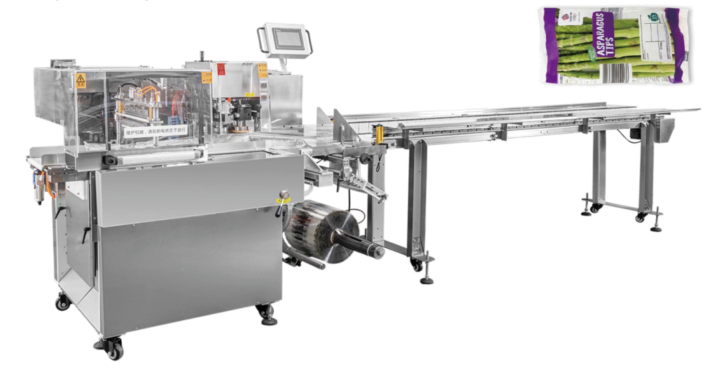 FLOW PACKAGING MACHINE CHINA